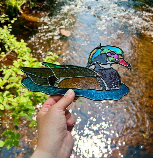 BIRDS! / Wood Duck