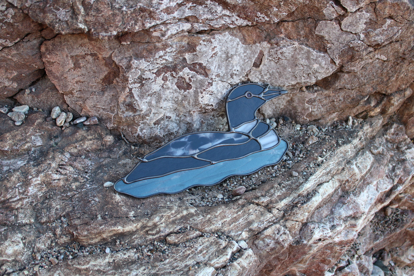 Speckled Loon / PREORDER