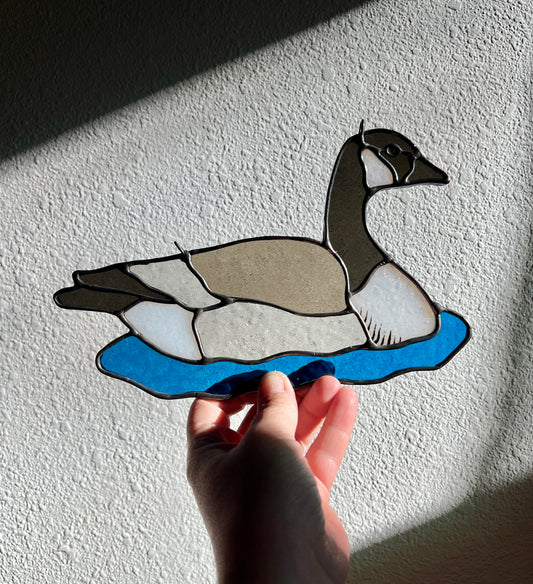 BIRDS! / Canada Goose