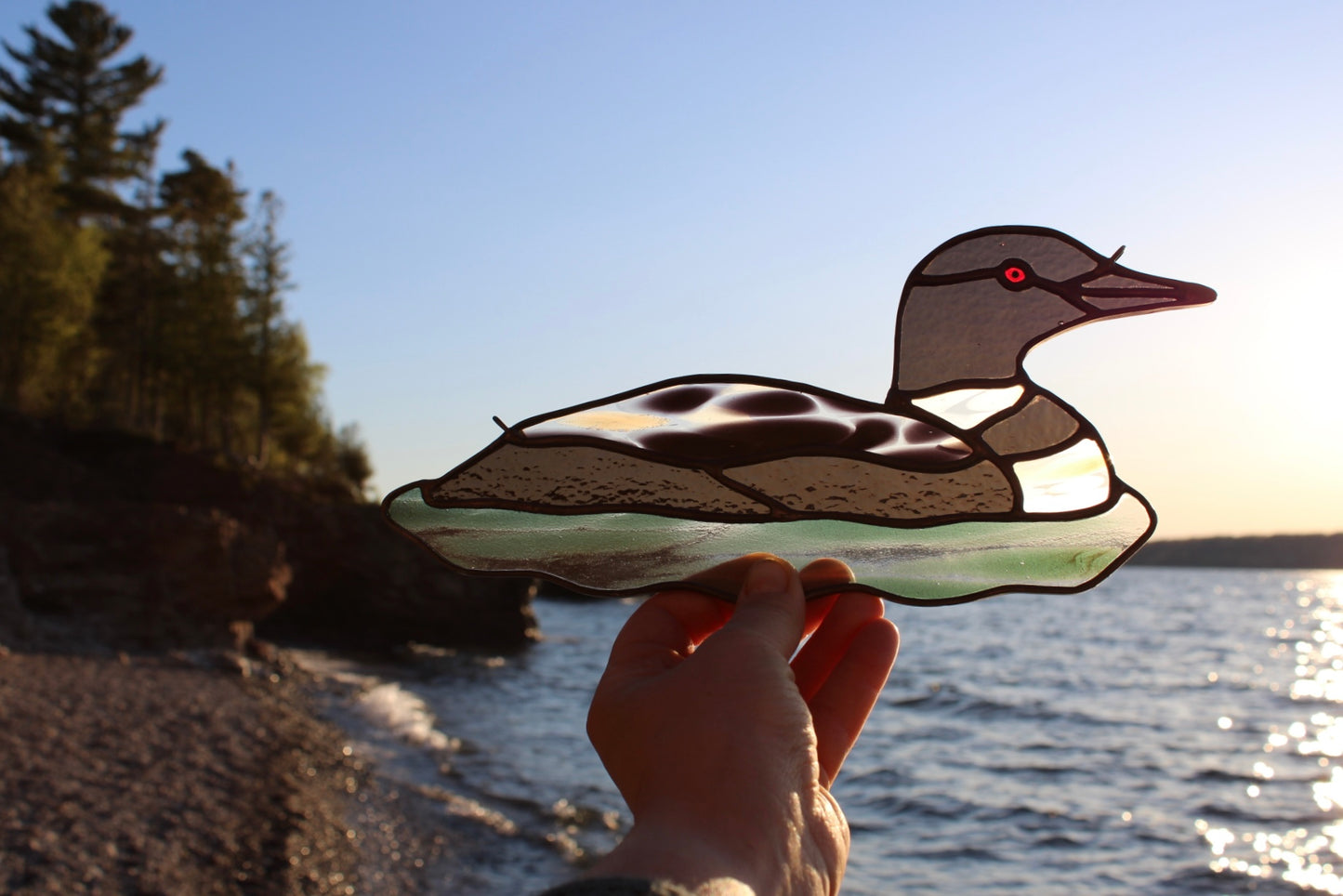 Speckled Loon / PREORDER