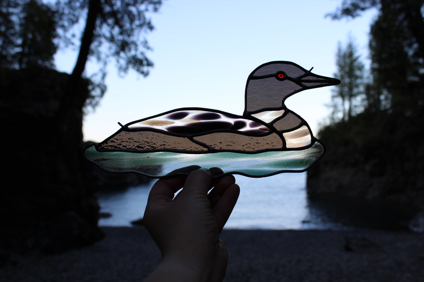 Speckled Loon / PREORDER