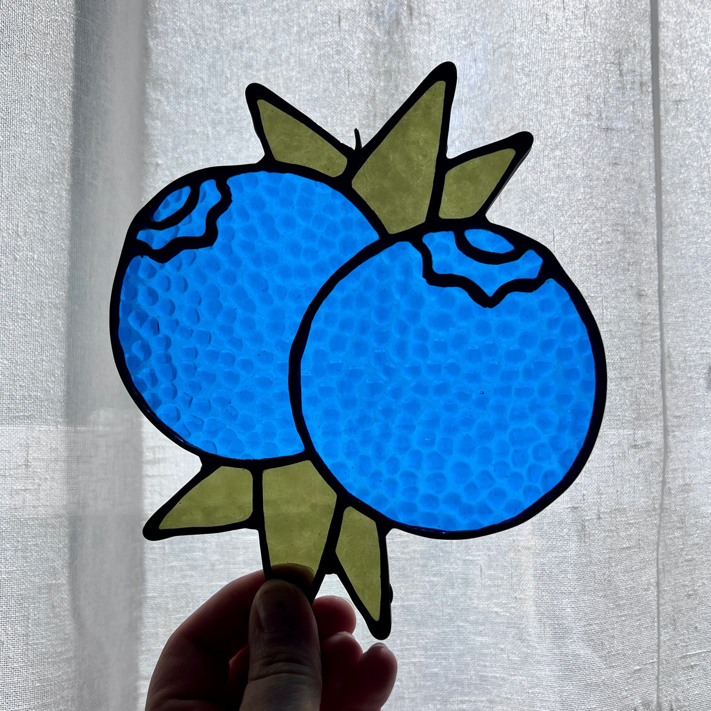 Blueberry Bunch 18