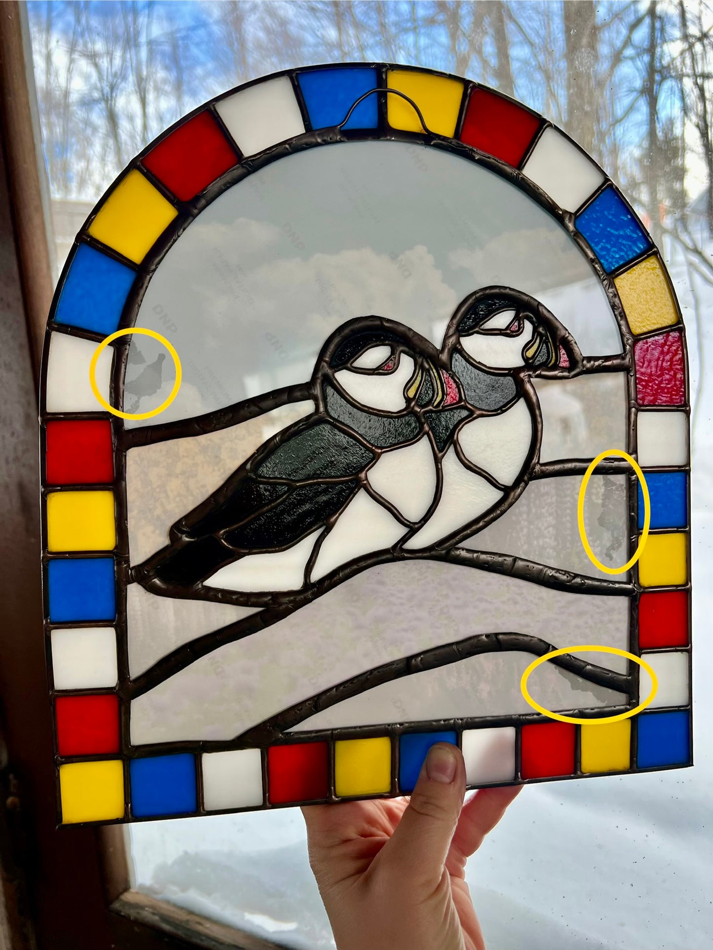 Lovebirds / Puffins Collage