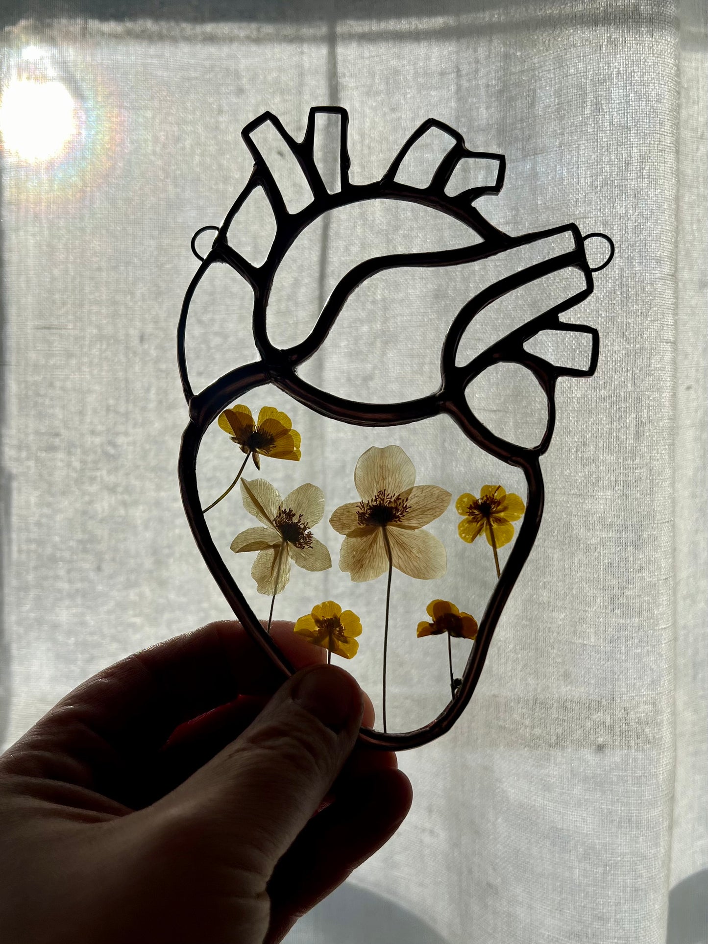 Botanical Anatomical Hearts - Medium