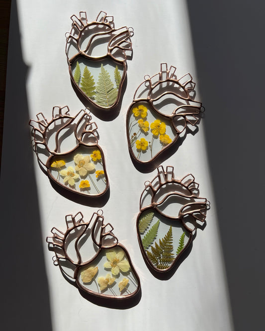 Botanical Anatomical Hearts - Medium