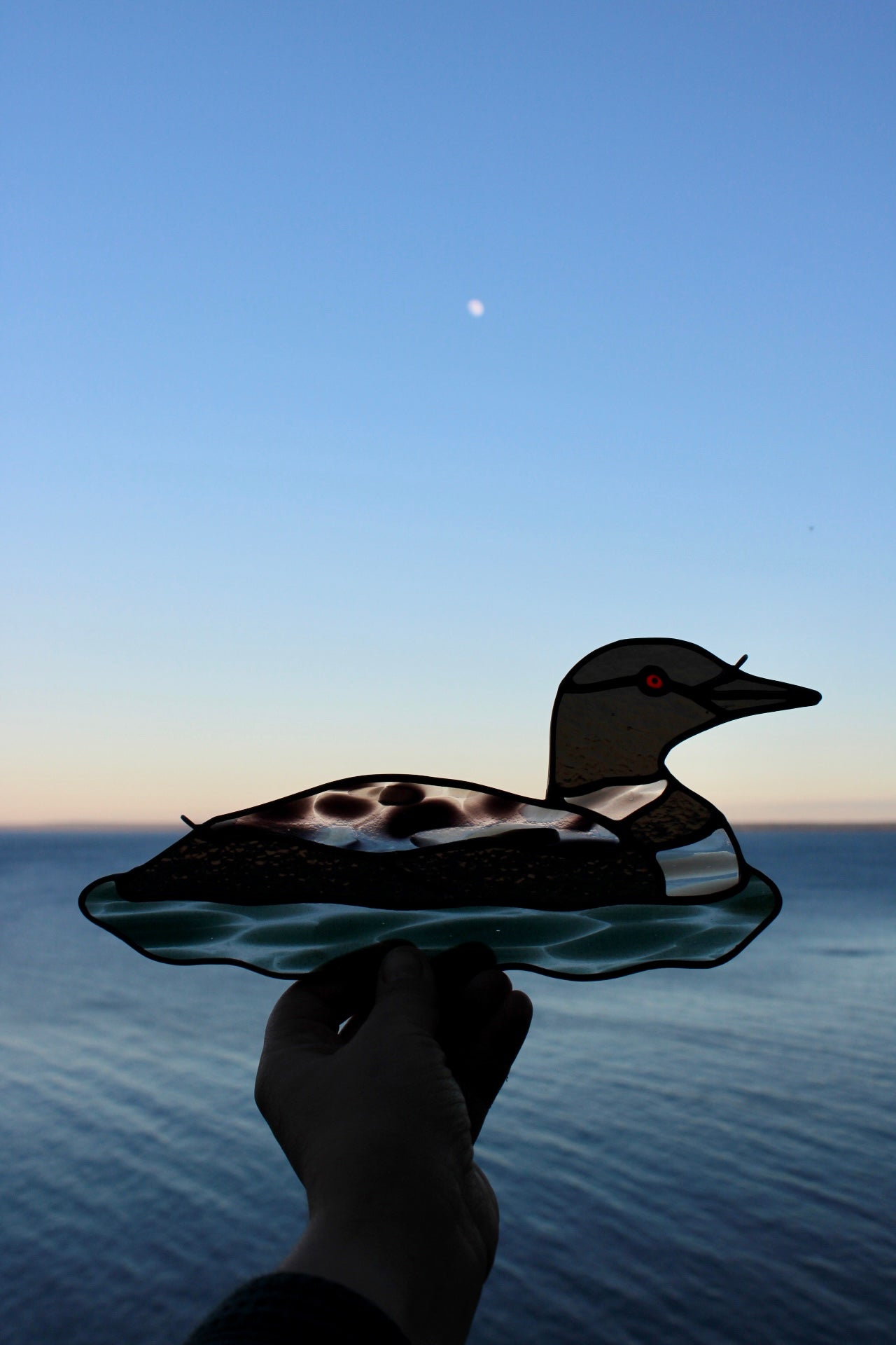 Speckled Loon / PREORDER