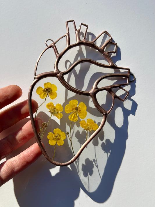 Botanical Anatomical Hearts - Medium
