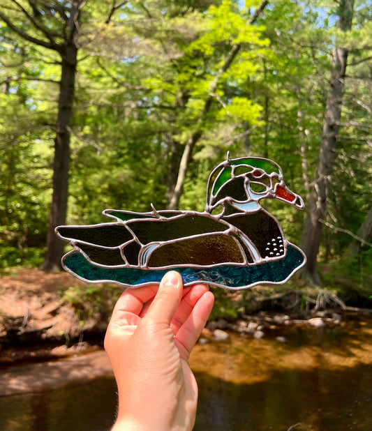 BIRDS! / Wood Duck