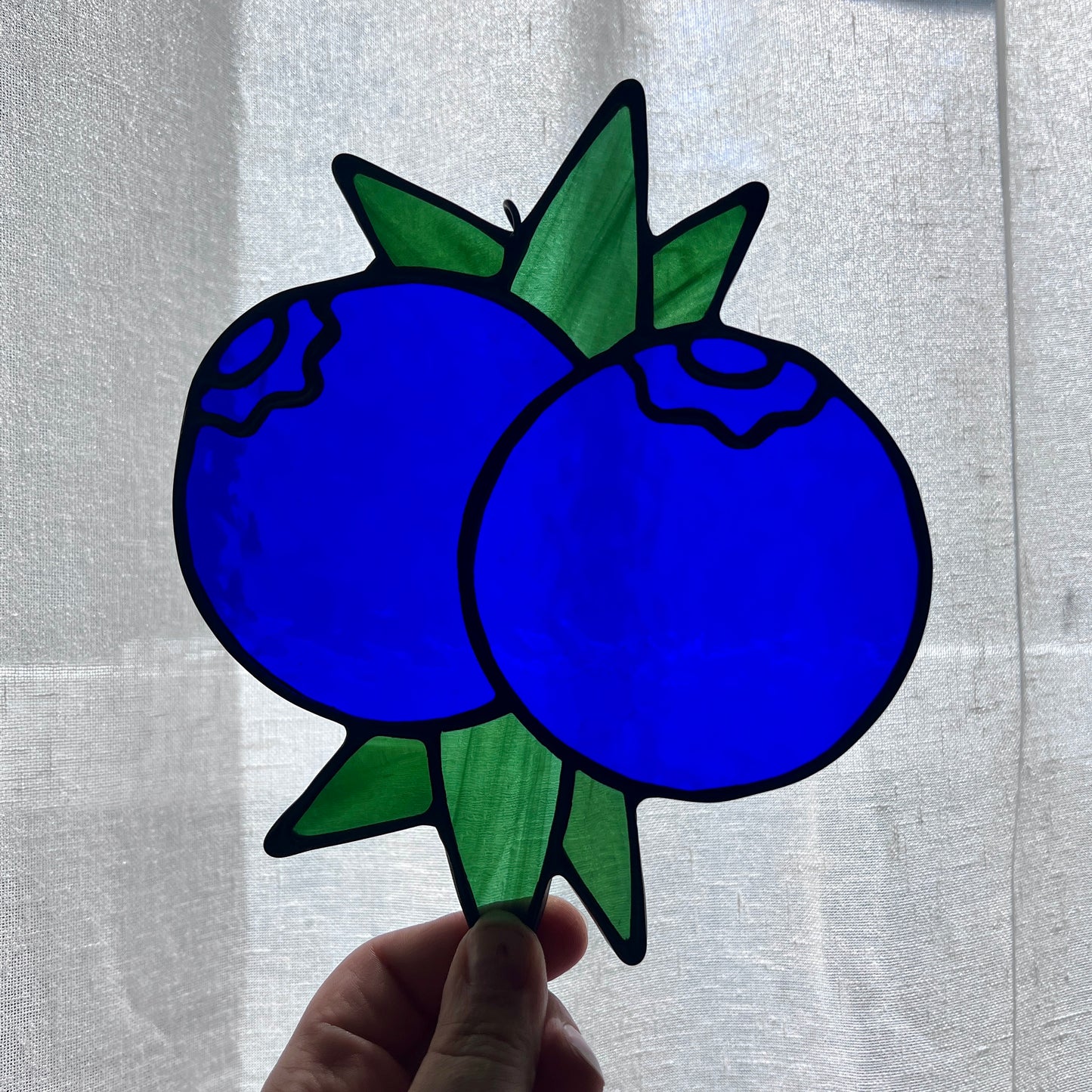 Blueberry Bunch 20