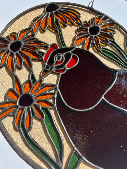 Black Eyed Susan Friend / Hen