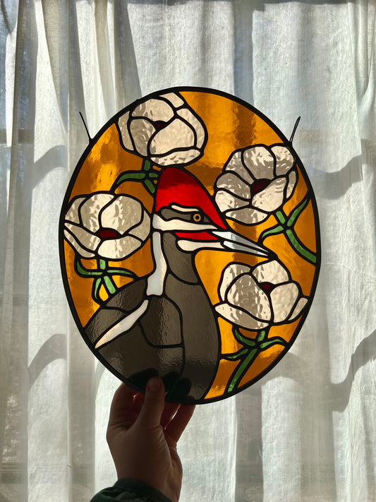 Anemone Friend / Pileated Woodpecker