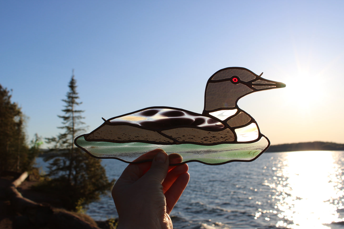 Speckled Loon / PREORDER