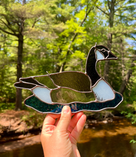 BIRDS! / Canada Goose