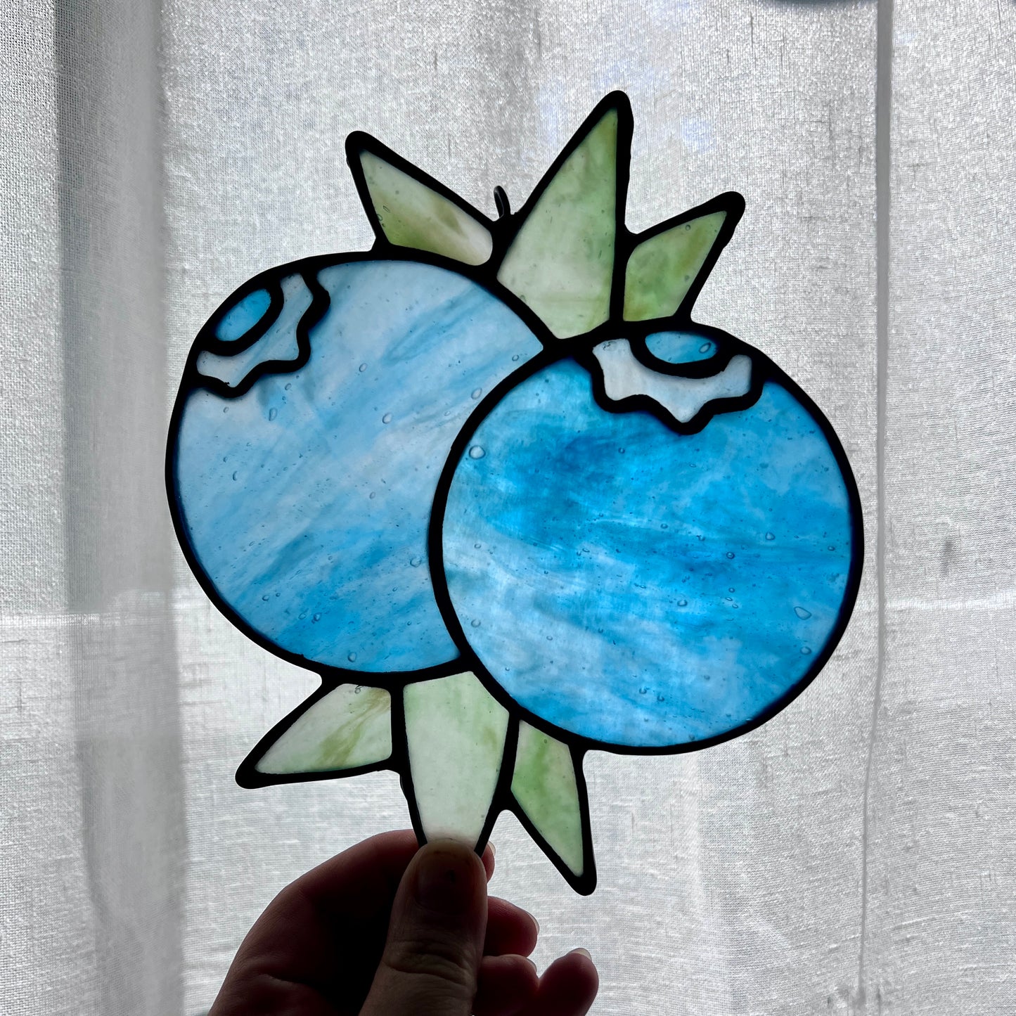 Blueberry Bunch 17