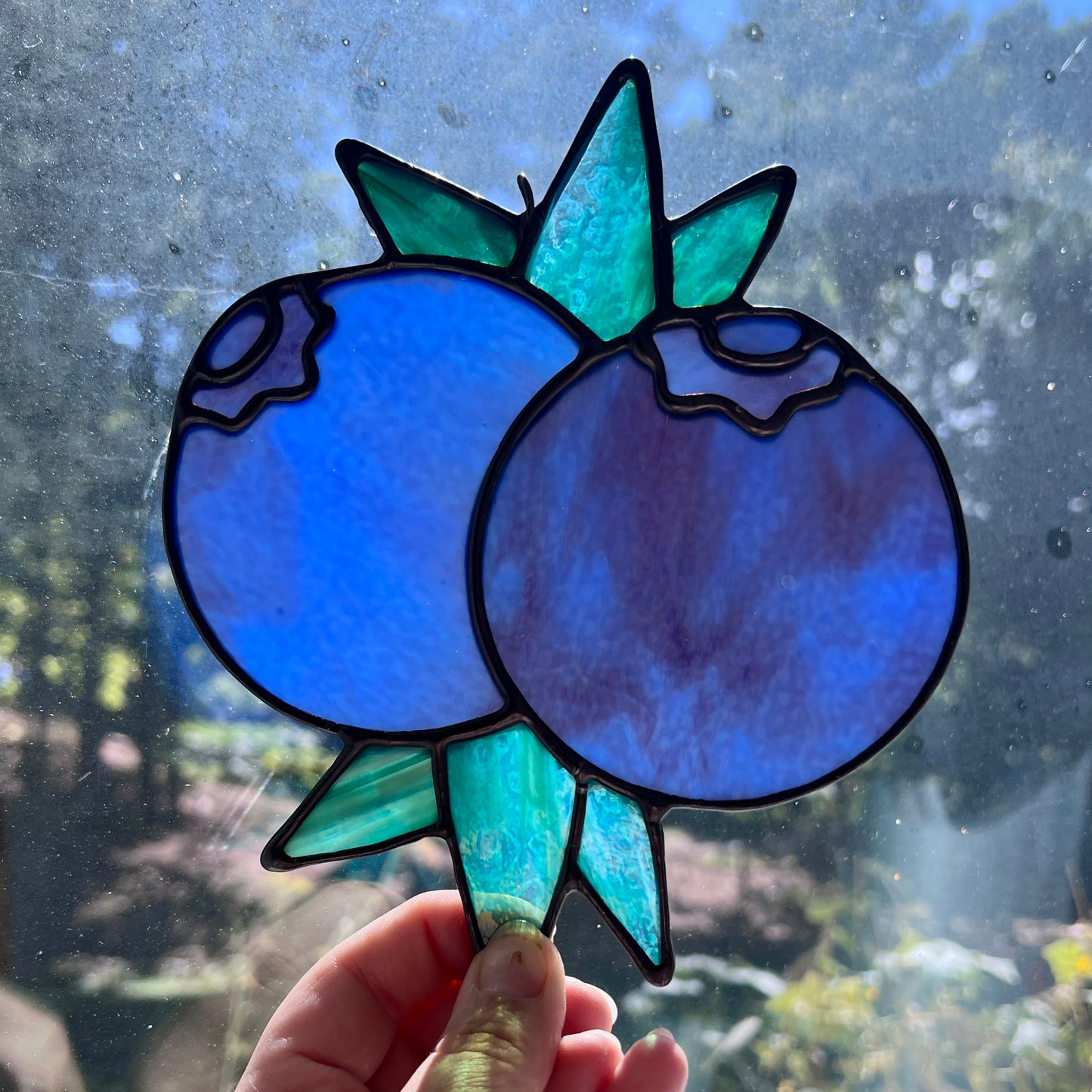 Blueberry Bunch 14