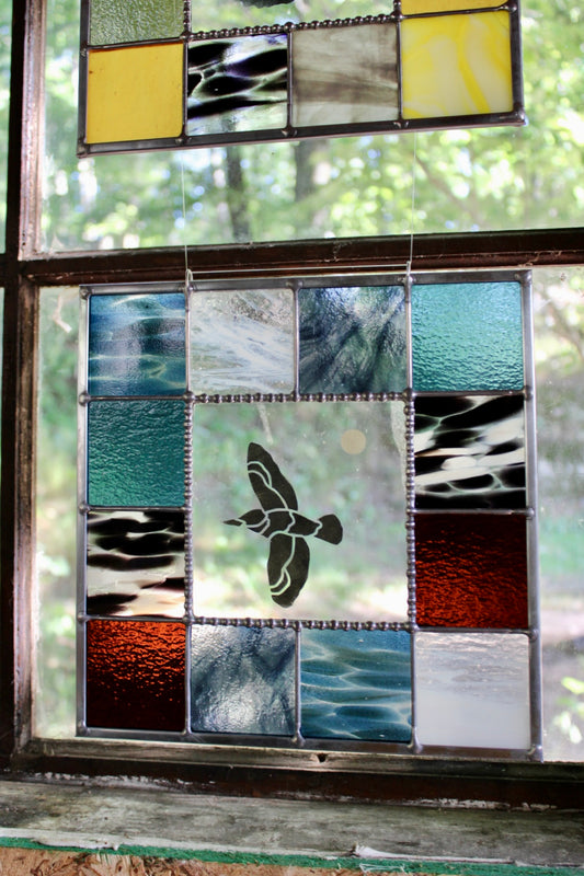 Etched Belted Kingfisher Palette