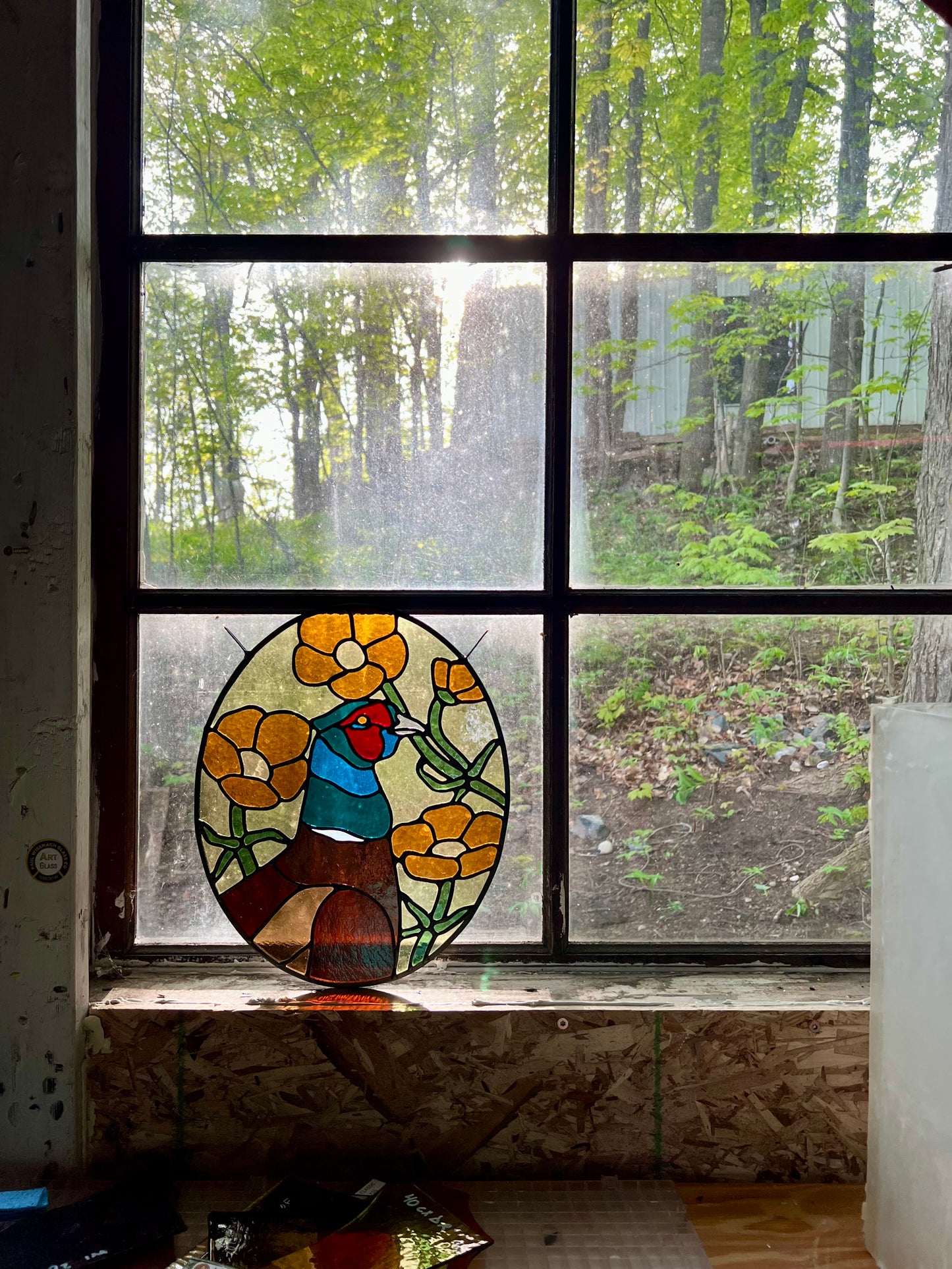 Wildflower Friend / Ring-necked Pheasant & Buttercups